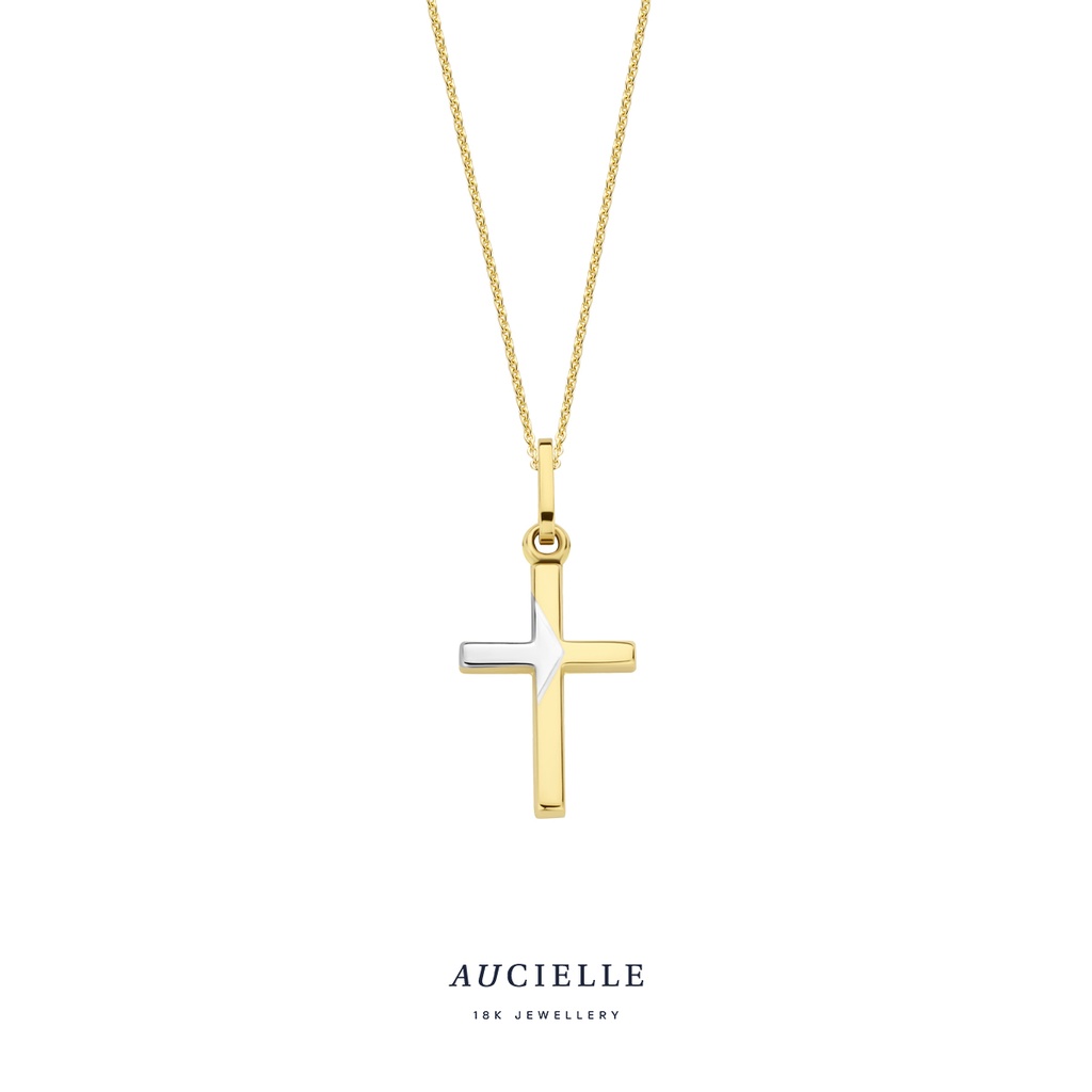 Pendentif Or bicolore croix 