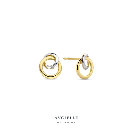 [AE0030L] Boucles d'oreilles Or Multicolore bicolor