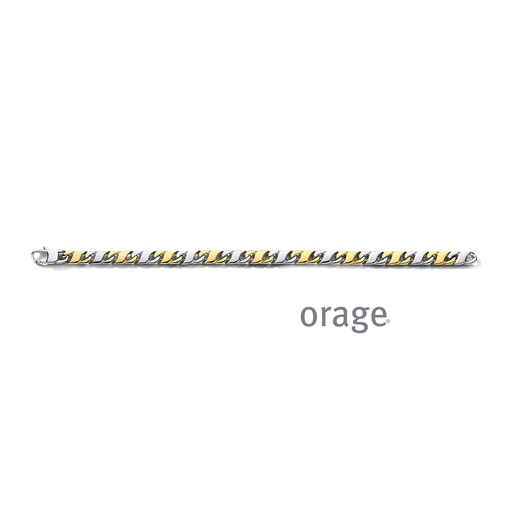 [BA187] Bracelet pour hommes en acier inoxydable bicolore  21cm (BA187)